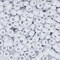 MIIIM 1200PCS 6x9mm Pony Beads Bulk, White Pony Beads for Bracelets Making Kit, Kandi, Hair Braids Crafts for Jewelry Making (White)